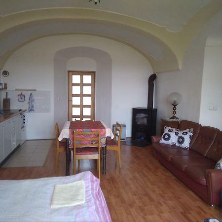 Appartement Dvůr v Borovné à Borovná Extérieur photo