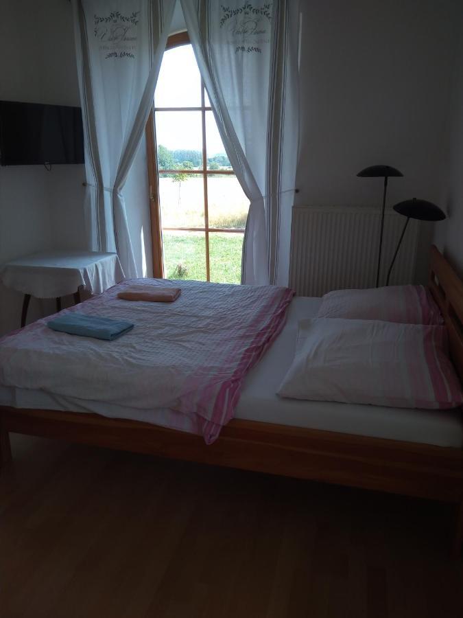 Appartement Dvůr v Borovné à Borovná Extérieur photo