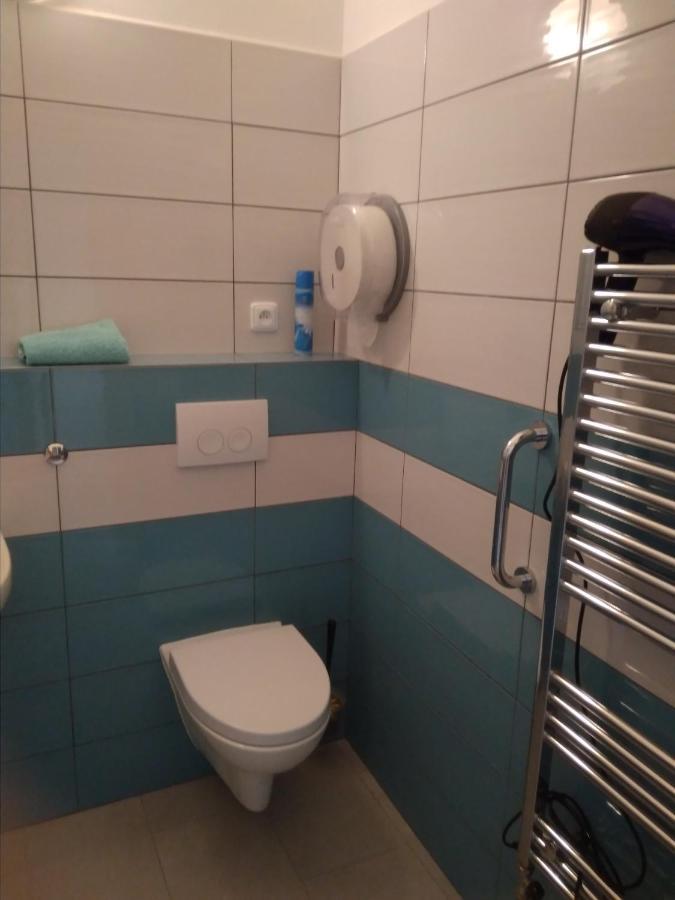Appartement Dvůr v Borovné à Borovná Extérieur photo